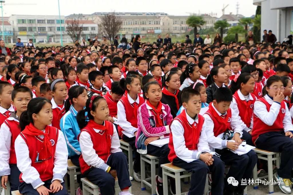 的亲情动人的演绎儿童剧青铜葵花全省进校园巡演走进益林小学活动报道